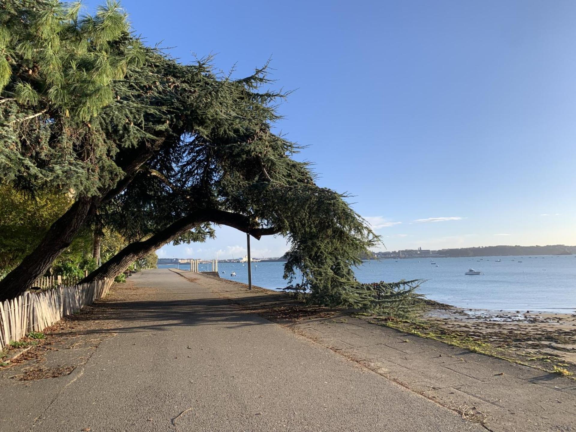 La Bri'Z De Dinard Lägenhet Exteriör bild